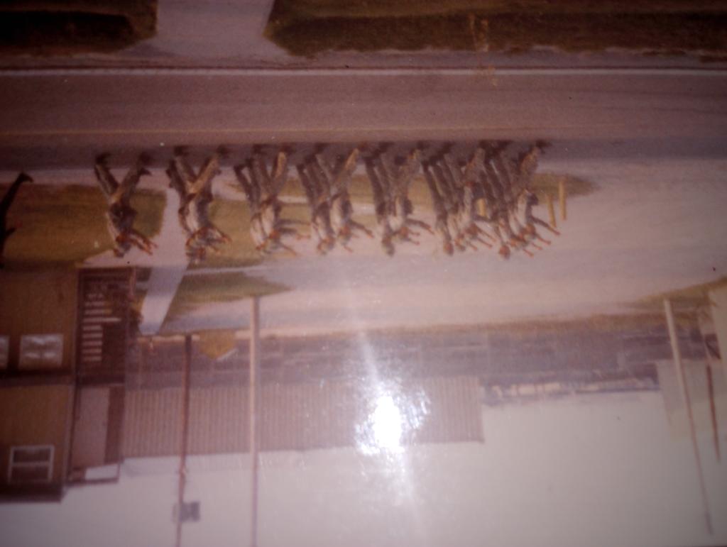 2Lt Anthony Evangelisto